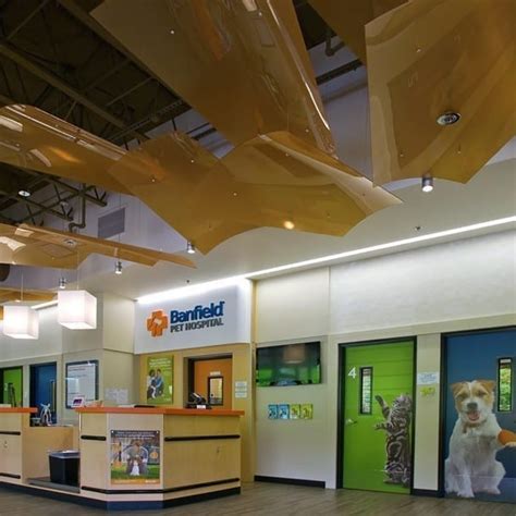 banfield animal clinic|More.